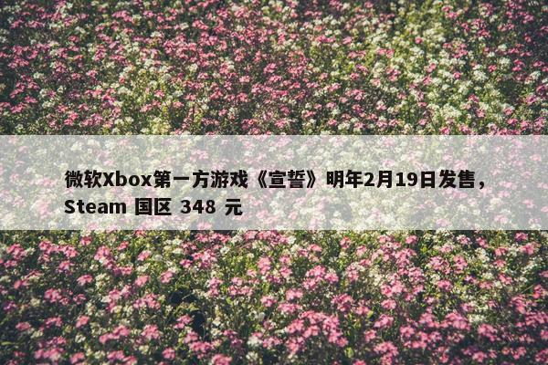 微软Xbox第一方游戏《宣誓》明年2月19日发售，Steam 国区 348 元