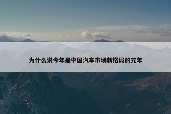 为什么说今年是中国汽车市场新格局的元年