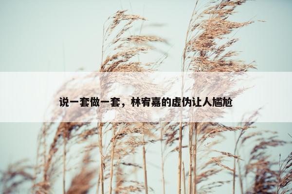 说一套做一套，林宥嘉的虚伪让人尴尬