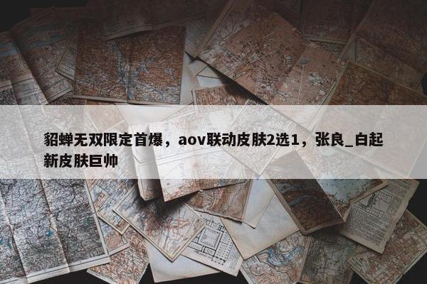 貂蝉无双限定首爆，aov联动皮肤2选1，张良_白起新皮肤巨帅