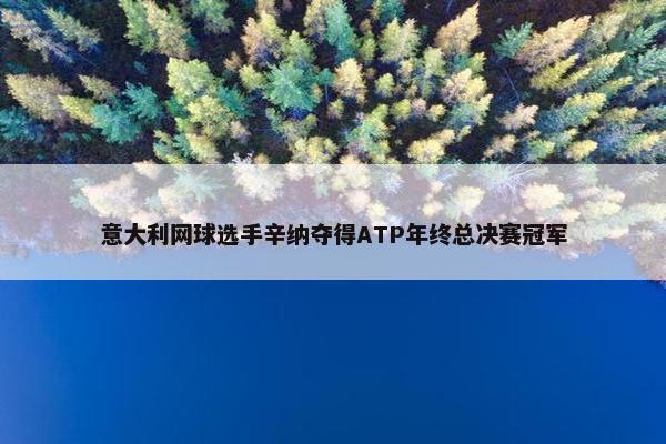 意大利网球选手辛纳夺得ATP年终总决赛冠军