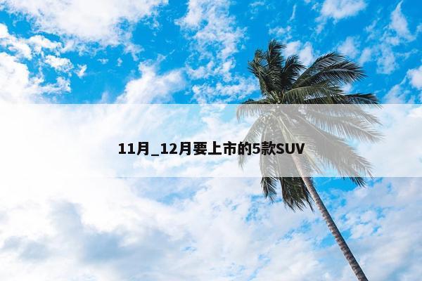 11月_12月要上市的5款SUV