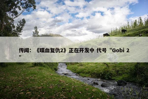 传闻：《喋血复仇2》正在开发中 代号“Gobi 2”