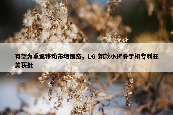 有望为重返移动市场铺路，LG 新款小折叠手机专利在美获批