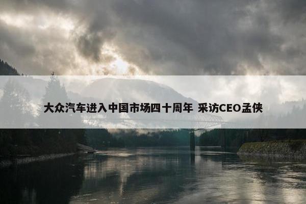 大众汽车进入中国市场四十周年 采访CEO孟侠