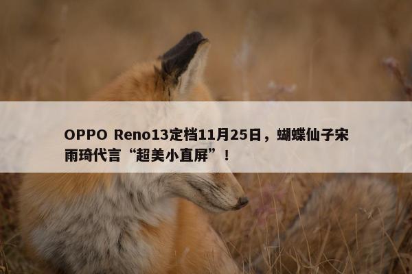 OPPO Reno13定档11月25日，蝴蝶仙子宋雨琦代言“超美小直屏”！