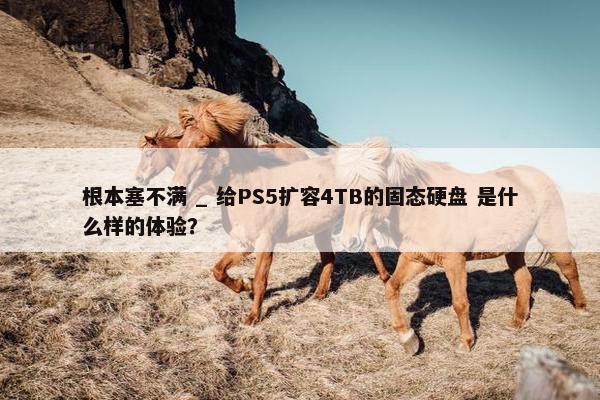 根本塞不满 _ 给PS5扩容4TB的固态硬盘 是什么样的体验？