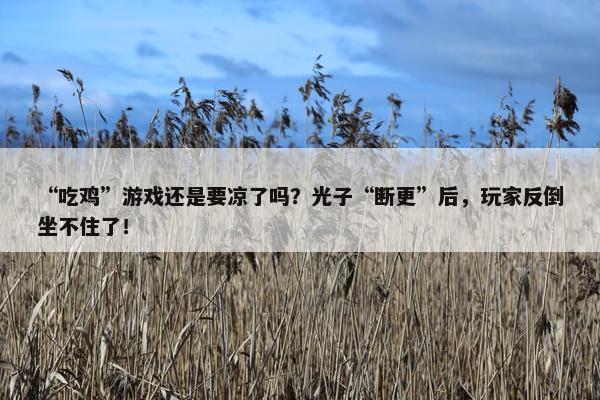 “吃鸡”游戏还是要凉了吗？光子“断更”后，玩家反倒坐不住了！