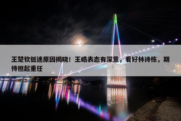 王楚钦低迷原因揭晓！王皓表态有深意，看好林诗栋，期待担起重任