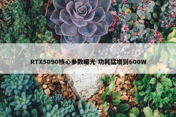 RTX5090核心参数曝光 功耗猛增到600W