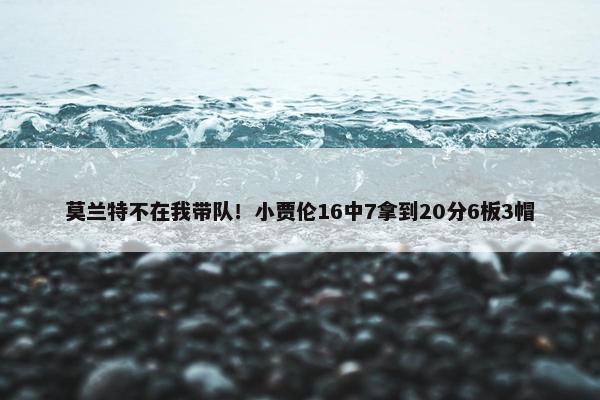 莫兰特不在我带队！小贾伦16中7拿到20分6板3帽