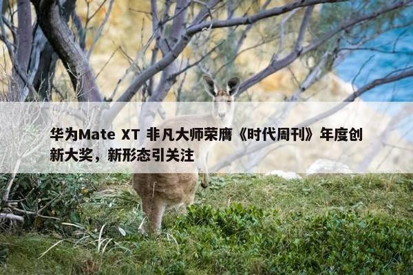 华为Mate XT 非凡大师荣膺《时代周刊》年度创新大奖，新形态引关注