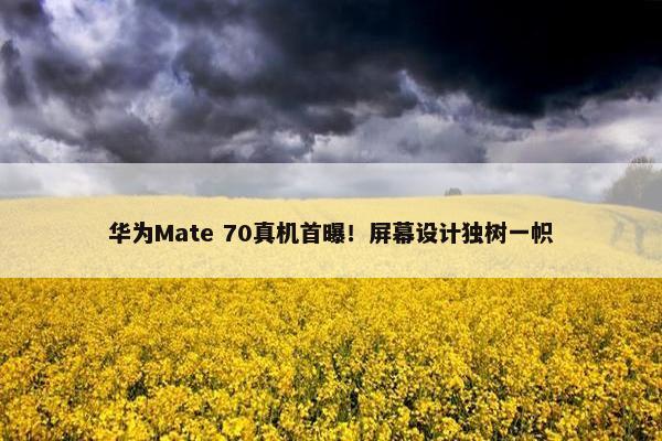 华为Mate 70真机首曝！屏幕设计独树一帜