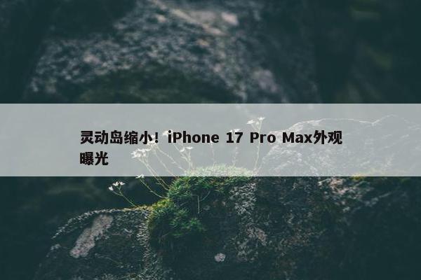 灵动岛缩小！iPhone 17 Pro Max外观曝光