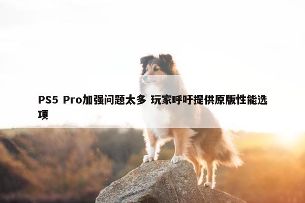 PS5 Pro加强问题太多 玩家呼吁提供原版性能选项