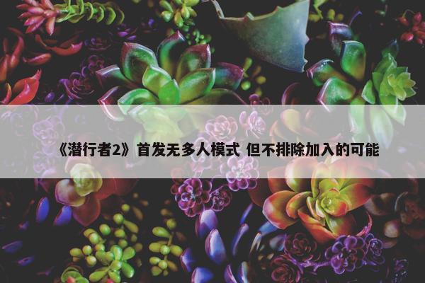 《潜行者2》首发无多人模式 但不排除加入的可能