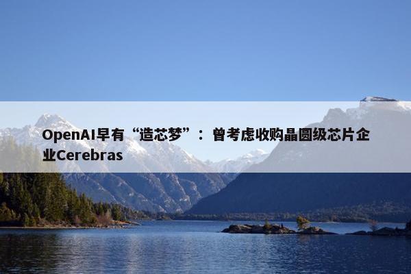 OpenAI早有“造芯梦”：曾考虑收购晶圆级芯片企业Cerebras