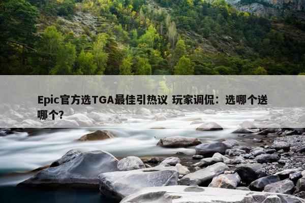 Epic官方选TGA最佳引热议 玩家调侃：选哪个送哪个？