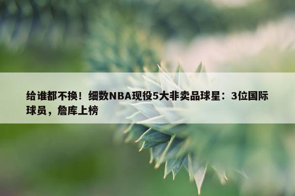 给谁都不换！细数NBA现役5大非卖品球星：3位国际球员，詹库上榜