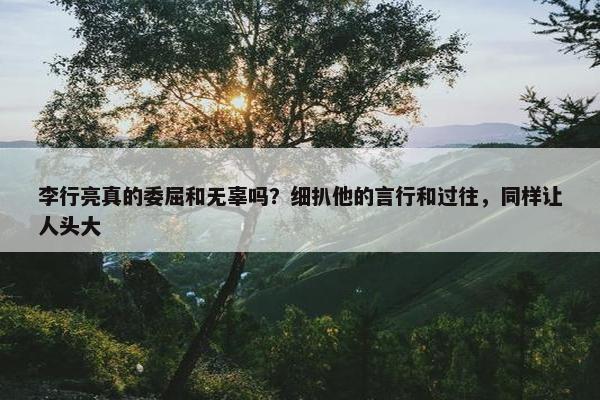 李行亮真的委屈和无辜吗？细扒他的言行和过往，同样让人头大