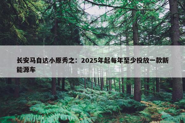 长安马自达小原秀之：2025年起每年至少投放一款新能源车