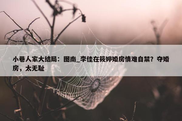 小巷人家大结局：图南_李佳在筱婷婚房情难自禁？夺婚房，太无耻