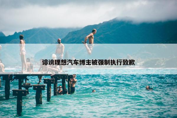 诽谤理想汽车博主被强制执行致歉