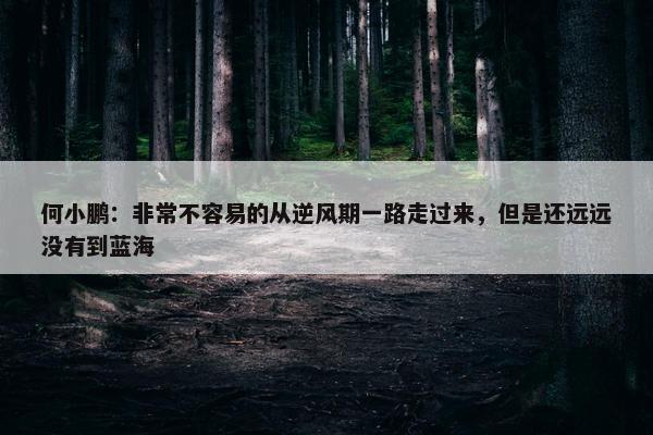 何小鹏：非常不容易的从逆风期一路走过来，但是还远远没有到蓝海