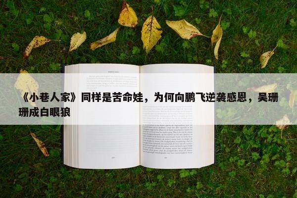 《小巷人家》同样是苦命娃，为何向鹏飞逆袭感恩，吴珊珊成白眼狼