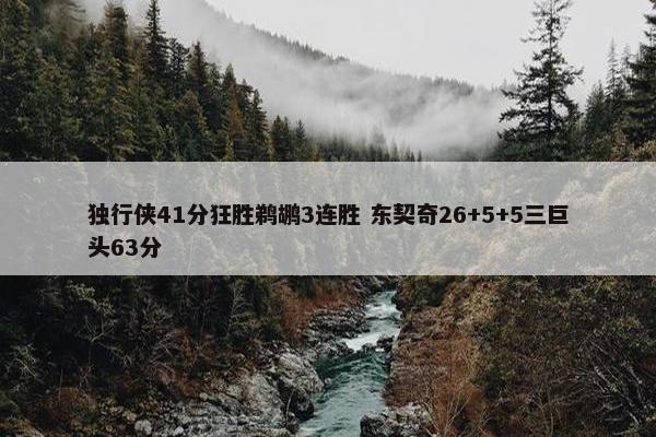 独行侠41分狂胜鹈鹕3连胜 东契奇26+5+5三巨头63分