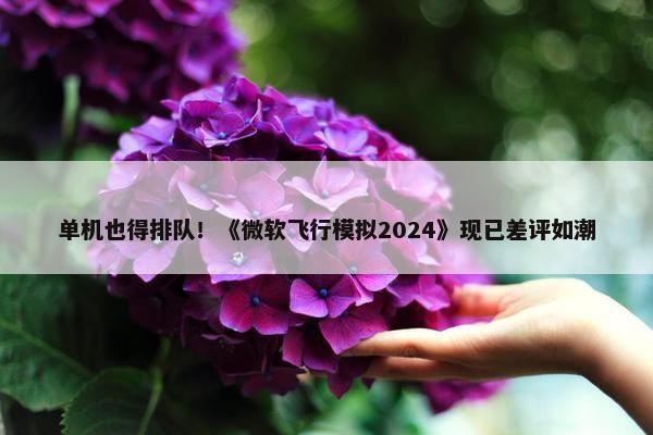 单机也得排队！《微软飞行模拟2024》现已差评如潮