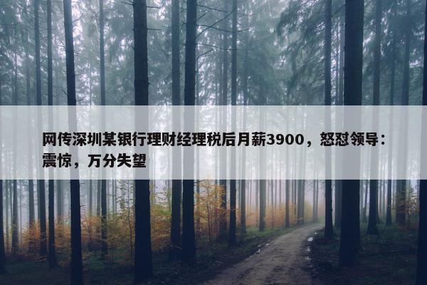 网传深圳某银行理财经理税后月薪3900，怒怼领导：震惊，万分失望