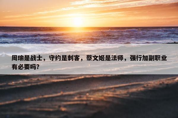 周瑜是战士，守约是刺客，蔡文姬是法师，强行加副职业有必要吗？