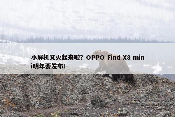 小屏机又火起来啦？OPPO Find X8 mini明年要发布！