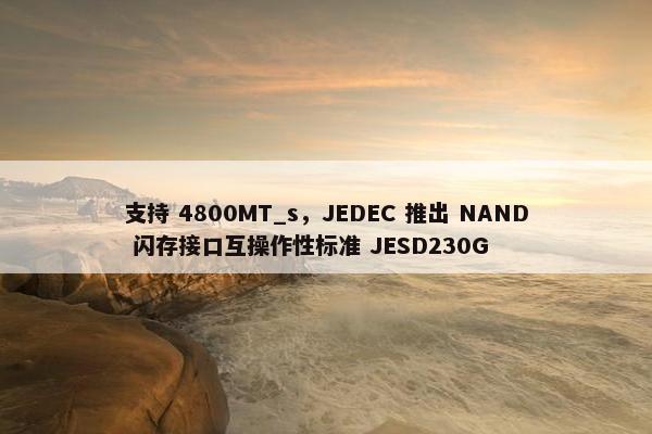 支持 4800MT_s，JEDEC 推出 NAND 闪存接口互操作性标准 JESD230G