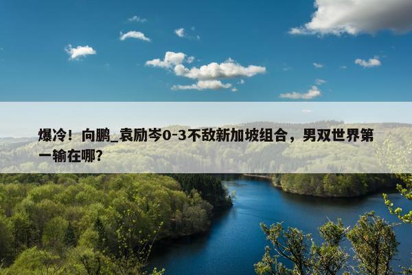 爆冷！向鹏_袁励岑0-3不敌新加坡组合，男双世界第一输在哪？