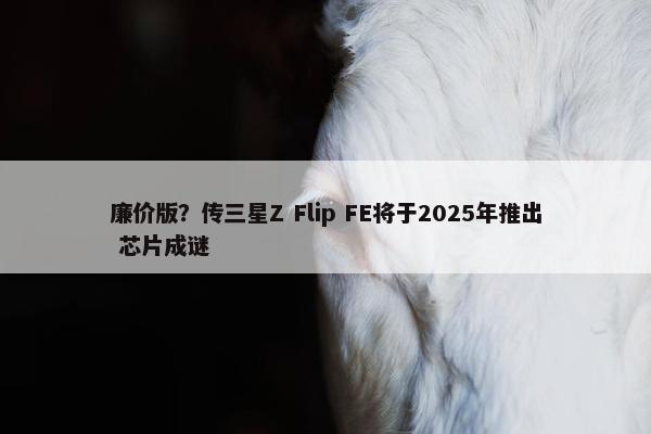 廉价版？传三星Z Flip FE将于2025年推出 芯片成谜