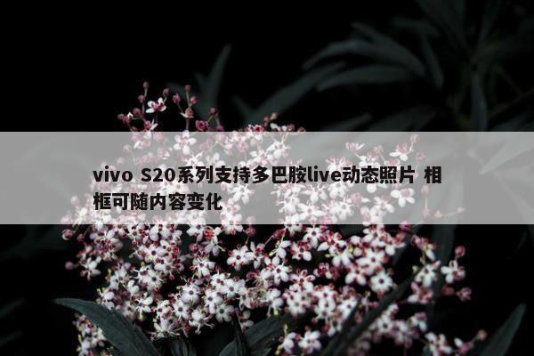 vivo S20系列支持多巴胺live动态照片 相框可随内容变化