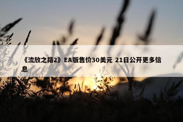 《流放之路2》EA版售价30美元 21日公开更多信息