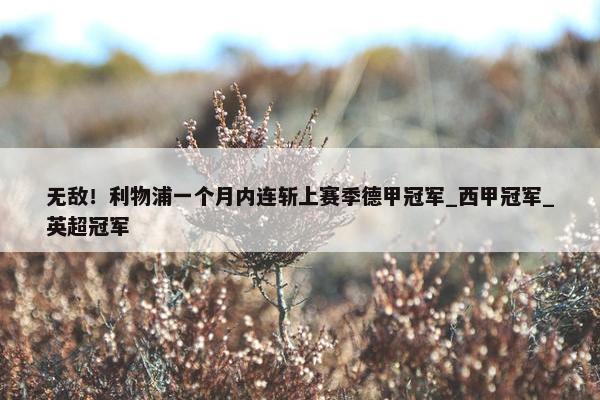 无敌！利物浦一个月内连斩上赛季德甲冠军_西甲冠军_英超冠军