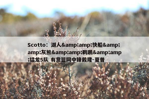 Scotto：湖人&amp;快船&amp;灰熊&amp;鹈鹕&amp;猛龙5队 有意篮网中锋戴隆-夏普