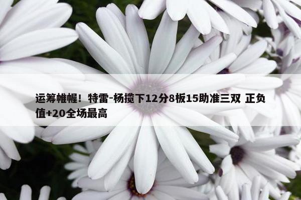 运筹帷幄！特雷-杨揽下12分8板15助准三双 正负值+20全场最高