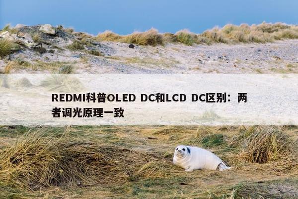 REDMI科普OLED DC和LCD DC区别：两者调光原理一致