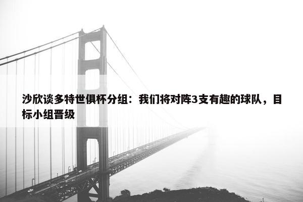 沙欣谈多特世俱杯分组：我们将对阵3支有趣的球队，目标小组晋级