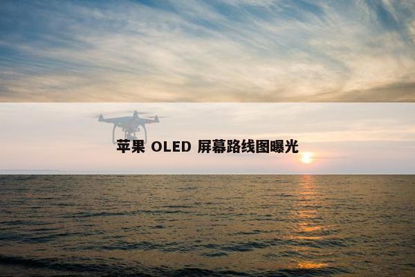 苹果 OLED 屏幕路线图曝光