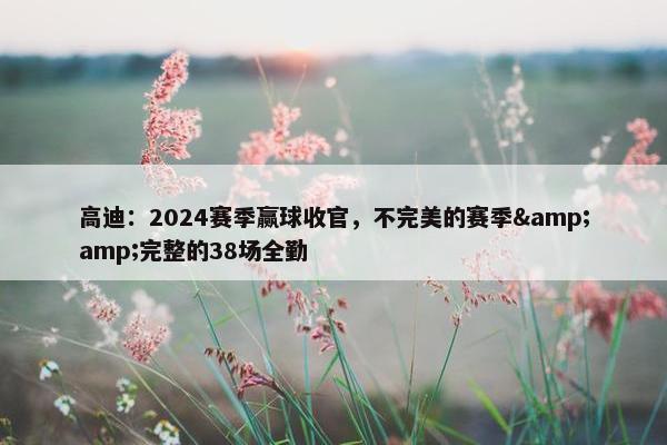 高迪：2024赛季赢球收官，不完美的赛季&amp;完整的38场全勤