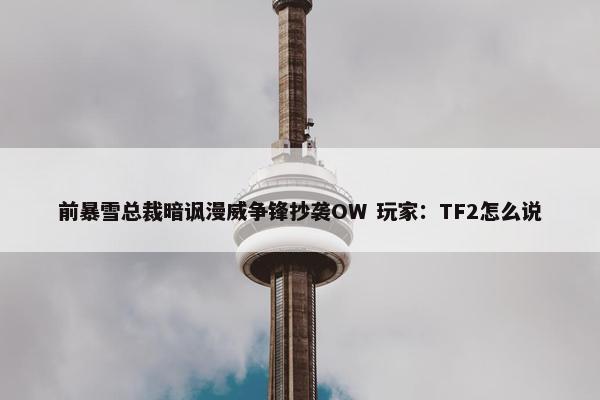 前暴雪总裁暗讽漫威争锋抄袭OW 玩家：TF2怎么说