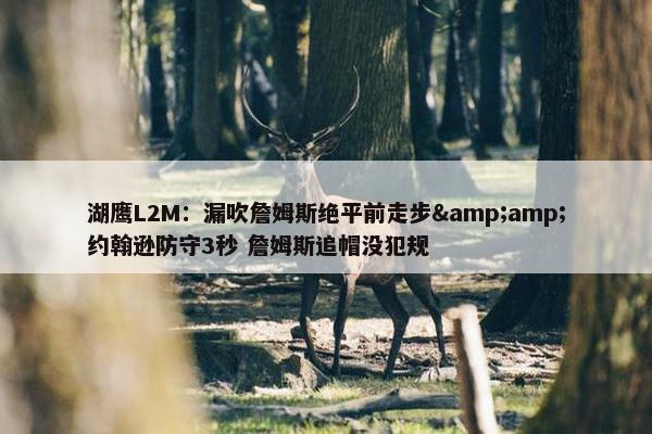 湖鹰L2M：漏吹詹姆斯绝平前走步&amp;约翰逊防守3秒 詹姆斯追帽没犯规