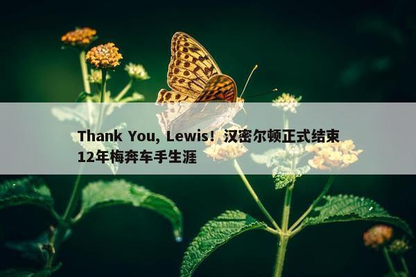 Thank You, Lewis！汉密尔顿正式结束12年梅奔车手生涯