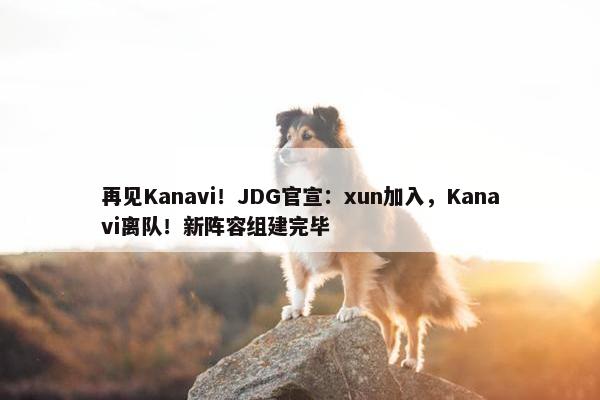 再见Kanavi！JDG官宣：xun加入，Kanavi离队！新阵容组建完毕